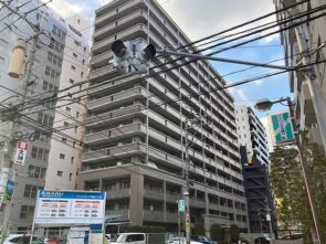 コモダス天神-福岡市中央区今泉2丁目3-41-外観