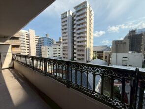 バルコニーからの眺望