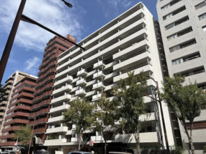 ロワールマンション西公園Ⅲ　10階-福岡市中央区荒戸2-4-5-外観