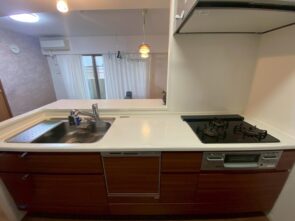 食器洗浄乾燥機付きのカウンターキッチン