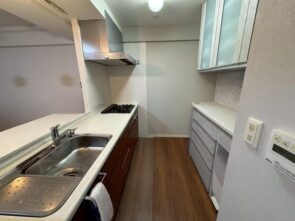 2人並んでも料理が楽しめるカウンターキッチンです